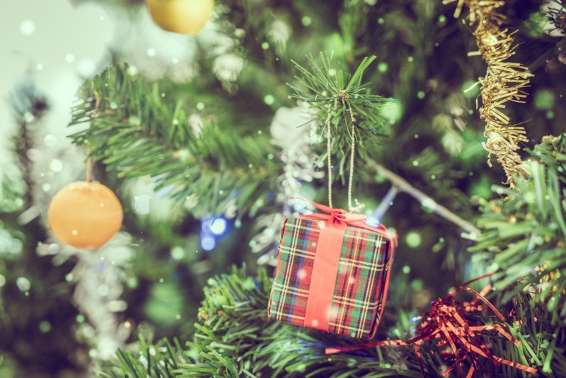 Новий рік у Карпатах 2026: казковий відпочинок, який ви запам’ятаєте назавжди