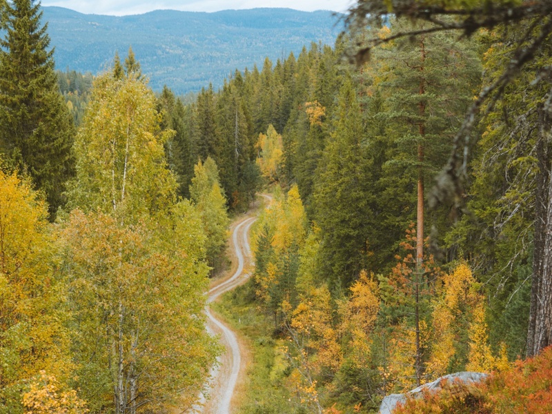 Переваги відпочинку в Карпатах у листопаді та грудні: затишна осінньо-зимова казка без натовпів