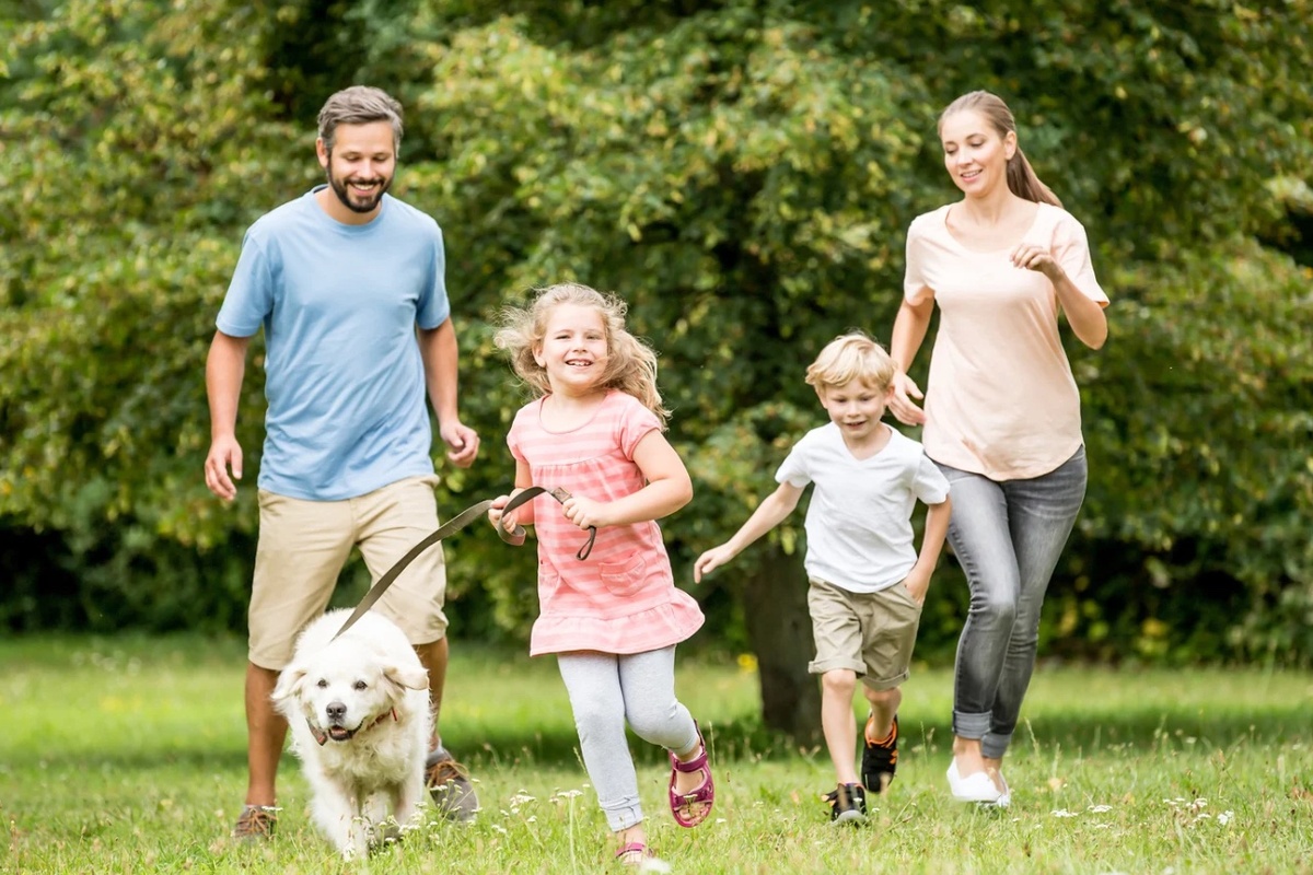 Family Offer at VitaPark Staryi Dub