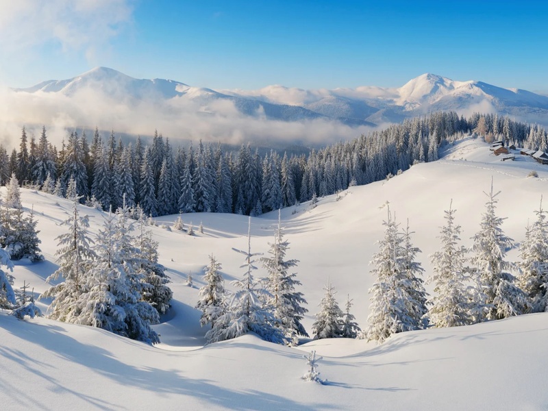 Відпочинок з дітьми в Карпатах: ідеальна родинна подорож у VitaPark Карпати та VitaPark Поляна