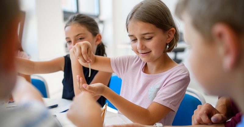 Відпочинок з дітьми в Карпатах: ідеальна родинна подорож у VitaPark Карпати та VitaPark Поляна