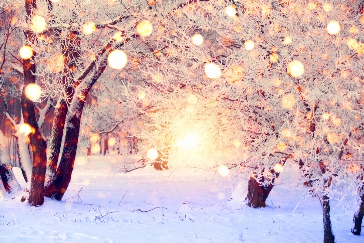 🎄 Новорічна програма 2026–2027 у VitaPark Сонячний Прованс