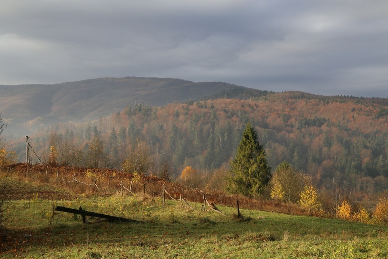 Переваги відпочинку в Карпатах у листопаді та грудні: затишна осінньо-зимова казка без натовпів