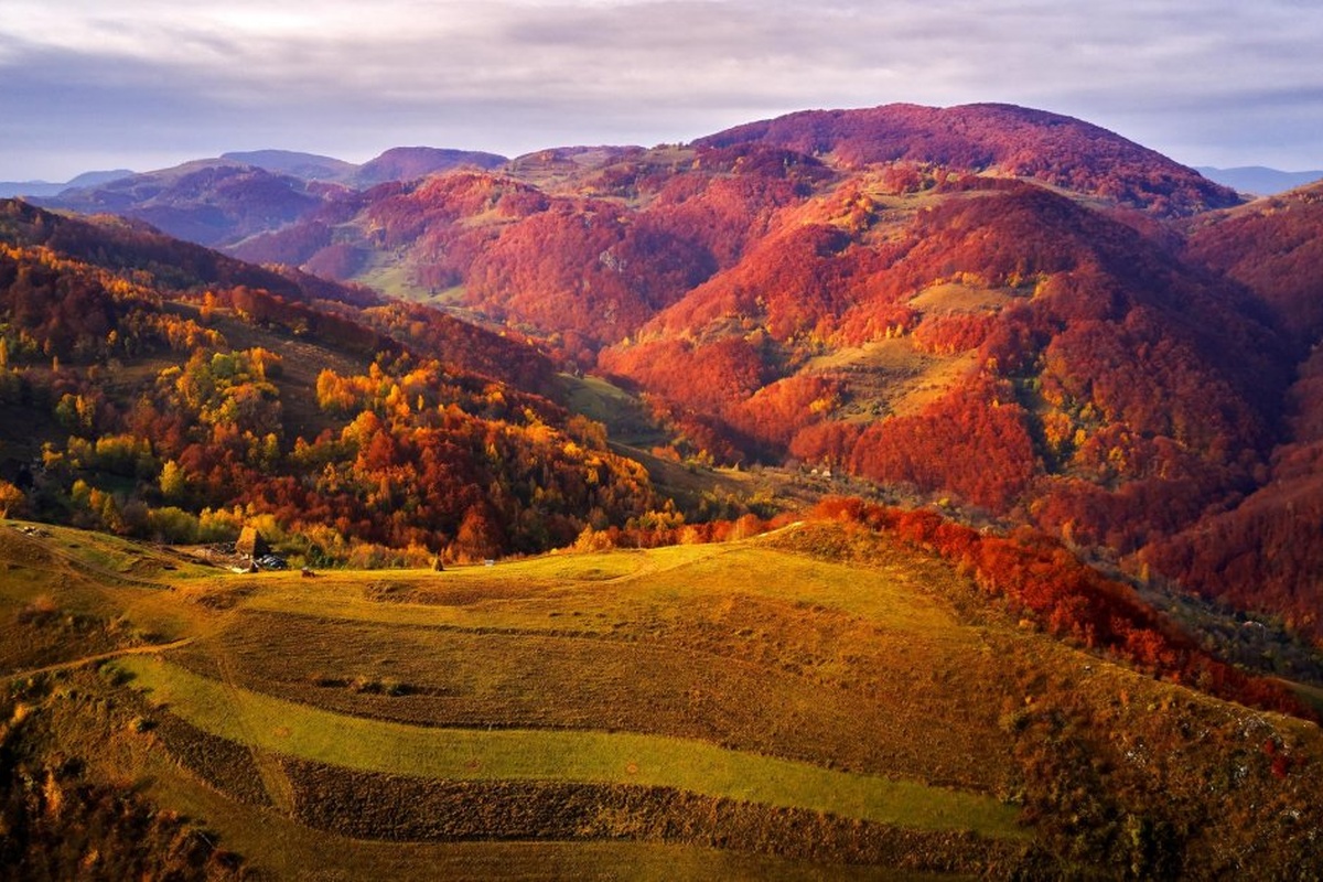 Tour "Crimson Autumn in the Carpathians"
