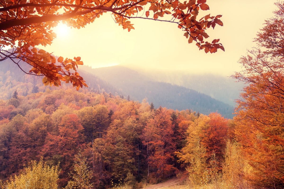 Early Autumn Booking –25%