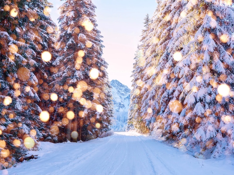 🎄 Festive Programme 2026–2027 at VitaPark Karpaty