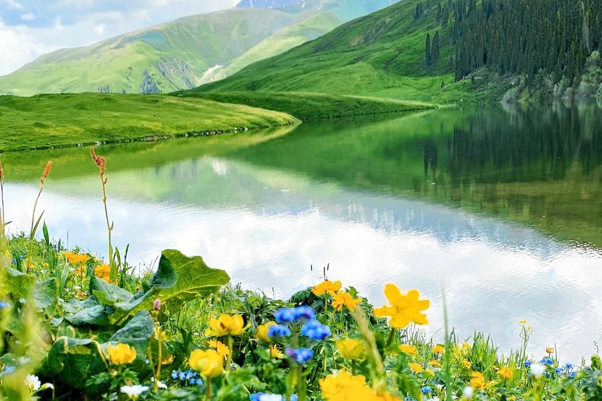 Spring Offer at VitaPark Polyana: 25% off accommodation