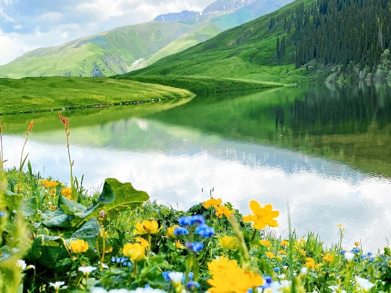 Spring Offer at VitaPark Polyana: 25% off accommodation