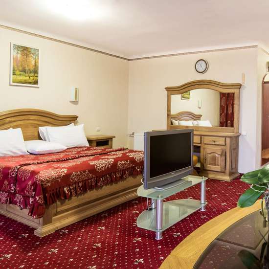 Фото категорії номера готелю Alliance City Готель Буковина