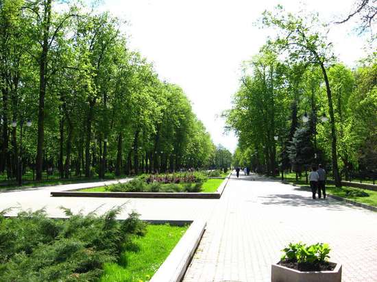 Міський парк імені Шевченка