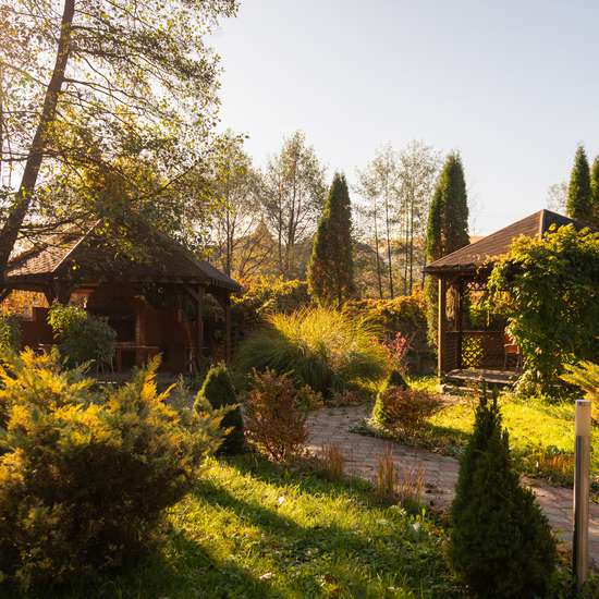 Фото готелю VitaPark Поляна