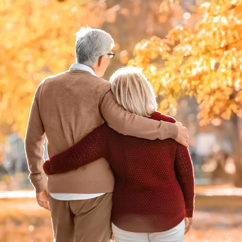 Send Your Parents to Provence