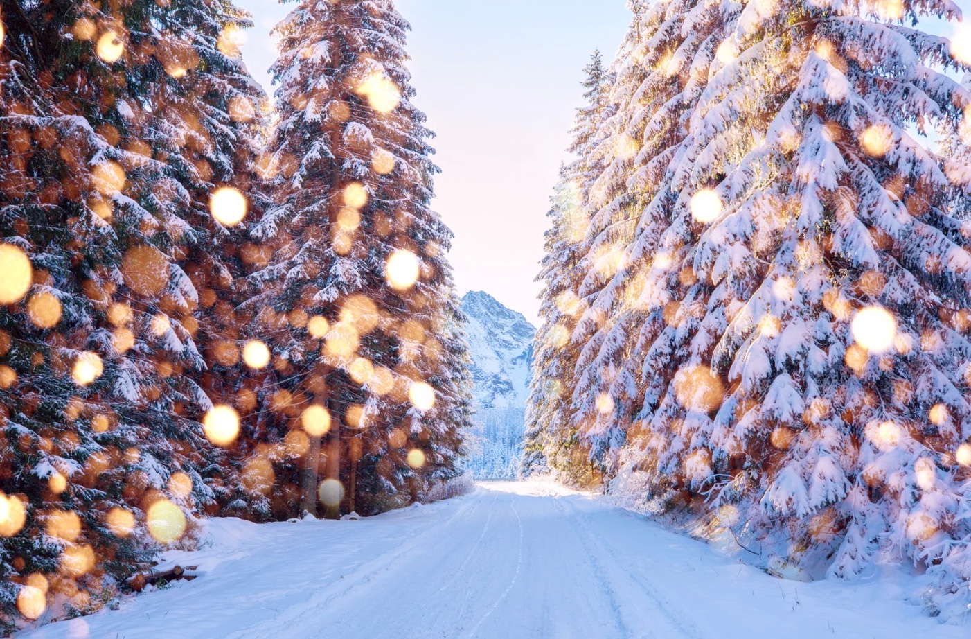 🎄 Новорічна програма 2026-2027 у VitaPark Карпати