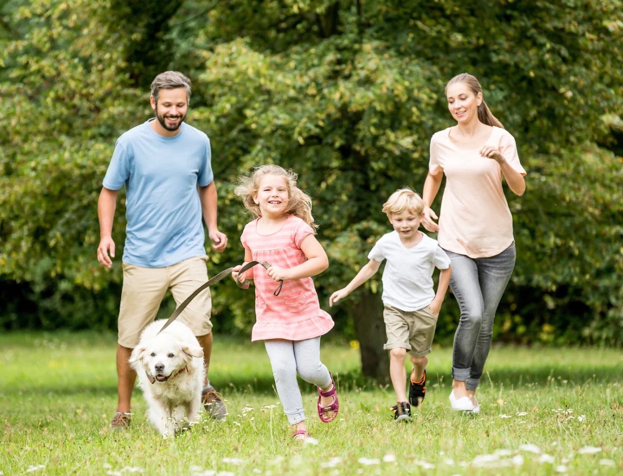 Family Offer at VitaPark Staryi Dub