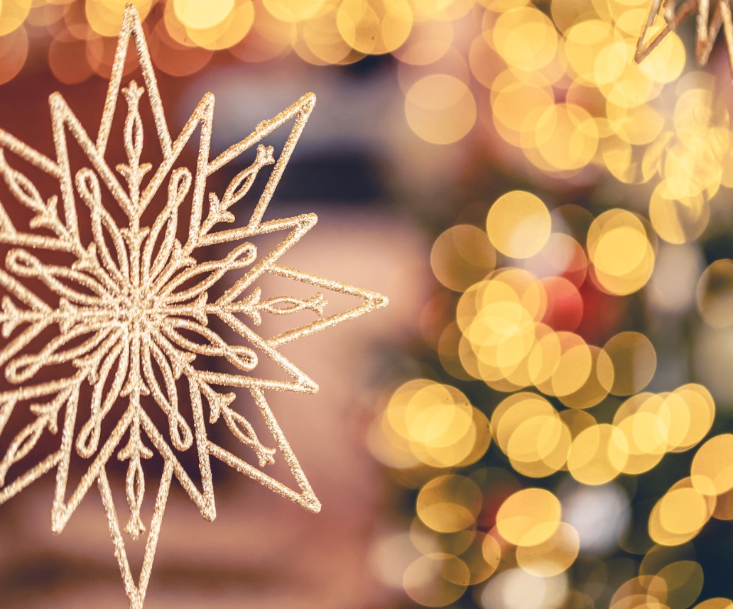 🎄 Новорічна програма 2026–2027 у VitaPark Поляна